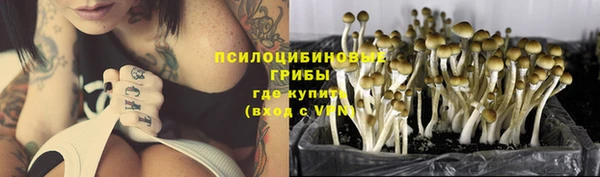 гидра Пролетарск