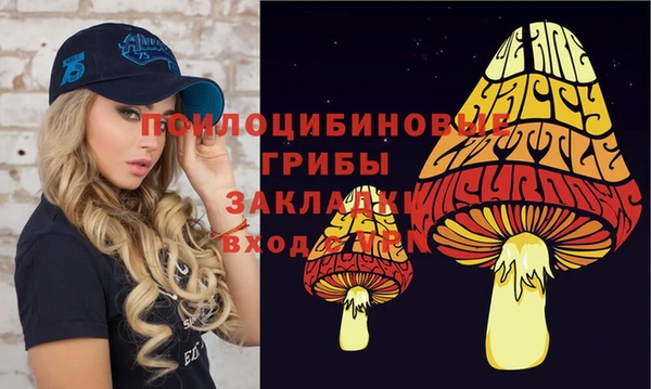 ПСИЛОЦИБИНОВЫЕ ГРИБЫ Покровск