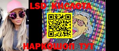 прущие крисы Кингисепп