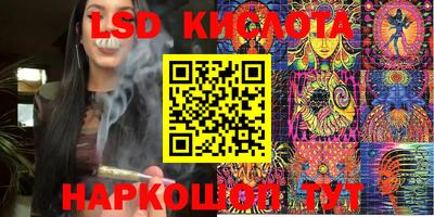 прущие крисы Кингисепп