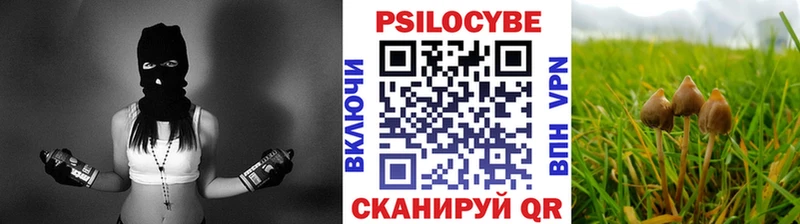 Галлюциногенные грибы Psilocybe Магнитогорск