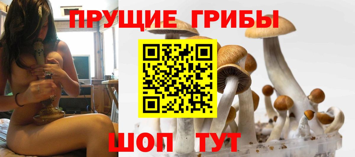 Галлюциногенные грибы Cubensis Магнитогорск